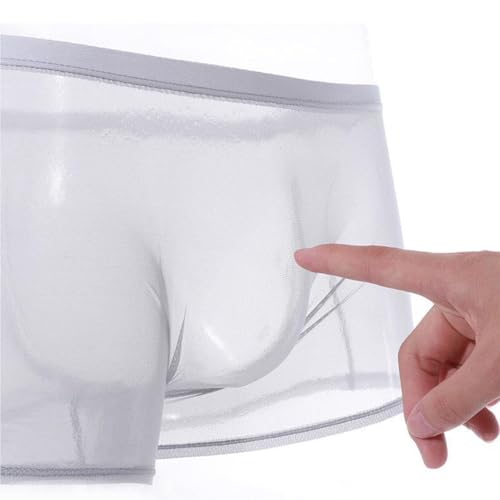 Men's Ice Silk Sexy Mesh Boxer Briefs Ultra-Thin Transparent Breathable Hollow Underwear4