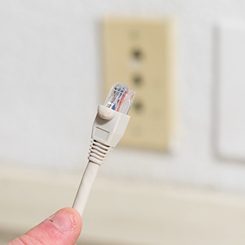 Câble de raccordement Cat 6A 25 ft gris blindé contre les interférences