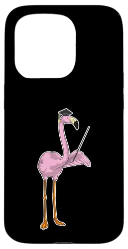 t~S 搶 w_ wZ X}zP[X iPhone 15 Pro p