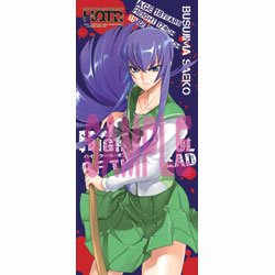 学園黙示録 HIGHSCHOOL OF THE DEAD　ビッグタオル　毒島冴子 学園黙示録 HIGHSCHOOL OF THE DEAD ビッグタオル 毒島冴子