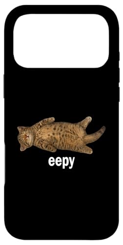 Eepy Funny Sleepy Cat Meme Viral Gen Z Hilarious Sleepy Cat �X�}�z�P�[�X iPhone 17 Pro Max �p