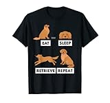 Divertente idea regalo per i proprietari di cani. In particolare per tutti i nuovi padroni e donne che hanno già la dotazione di base con giocattoli per cani, Kong, guinzaglio da traino, collare per cuccioli e pettorine per cani. Fantastico accessorio per cani per donne, uomini e bambini.
