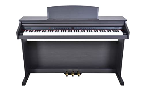 Delson Piano Meuble Arrangeur Ringway 88 touche