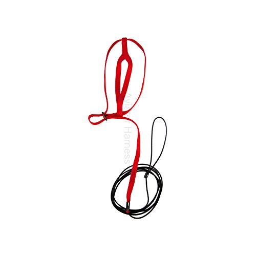 Image of The AVIATOR Pet Bird Harness Medium Red