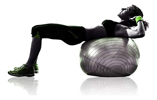 Bola Suiça Pilates Gym Ball Bomba Ar Fit Yoga Abdominal 65cm Roxo