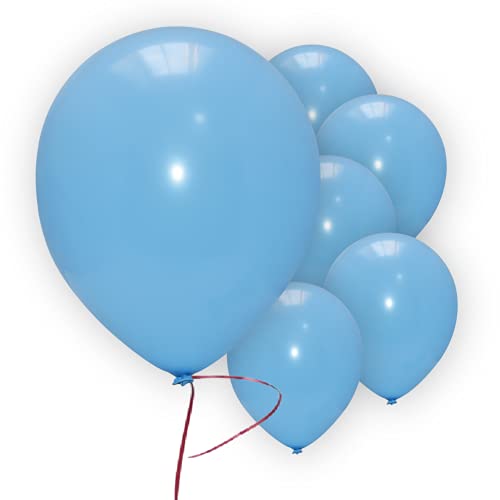 Pannu Design | 12” inch Plain Shiny Latex Balloons | 26 Assorted Colours | Packs of 10, 20, 50 & 100 | For Birthday, Wedding, Baby Shower & Anniversary. (Pack of 20, Cool Blue)