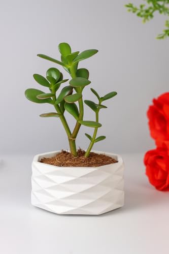 Image of White Geometric Indoor Planter - Small Pot with Faceted Diamond Pattern - Made in Mix Media - More Than 50% Earth Friendly (remaining Cement)