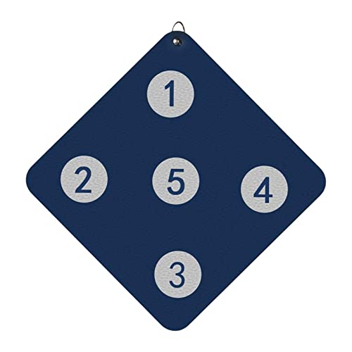 Harilla Fencing Target Wall Mounted Double Sided Home Fencing Auxiliary Tool Training Equipment Games Fencing Gears For Practice Saber Epee, B #TOP1