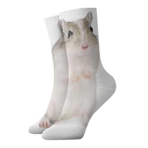Ncpkcb Cute Gerbil Tube Socks Fashion Running Sport Socks 12 Inch Casual Crew Sock For Women And Men