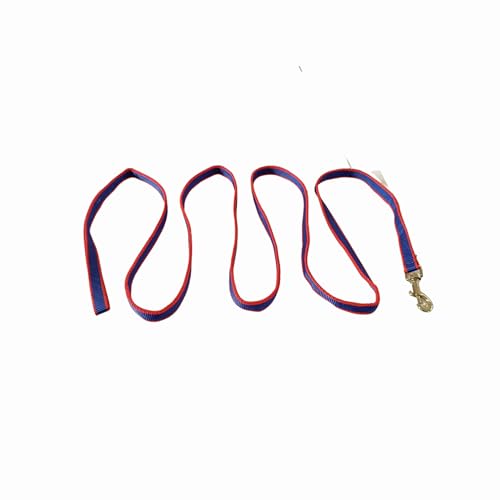 Image of Foodie Puppies Strong Comfortable Hold Nylon Webbing Long Training Leash for Dogs with Strong Brass Hook (BlueRed, 0.75 Inch, 10Ft)