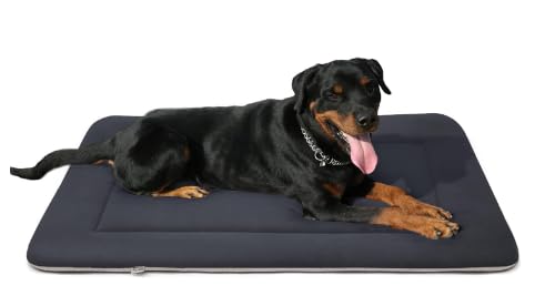Dreamland Doggys Large Dog Bed Soft Dog Crate Pad Dog Mat, Machine Washable Pet Bed Kennel Pad with Non-Slip Bottom, Dark Gray (L) (B0D3QT32J2) Amazon Price History, Amazon Price Tracker