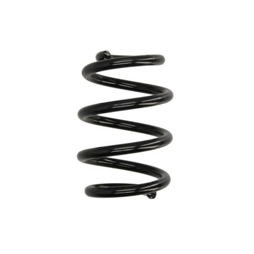 Image of KYB Rear Coil Spring RA5027