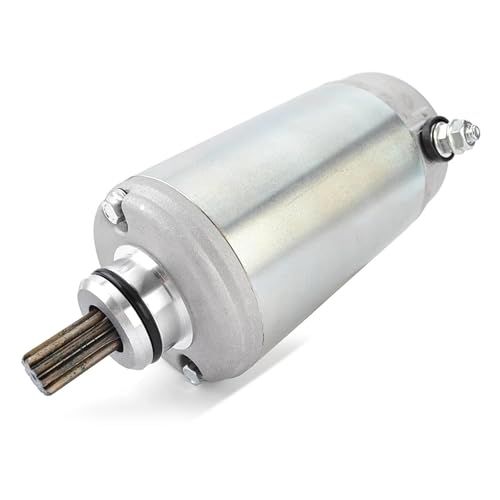 Motor de arranque para viajes largos en moto Tiger 955i y ST 1050