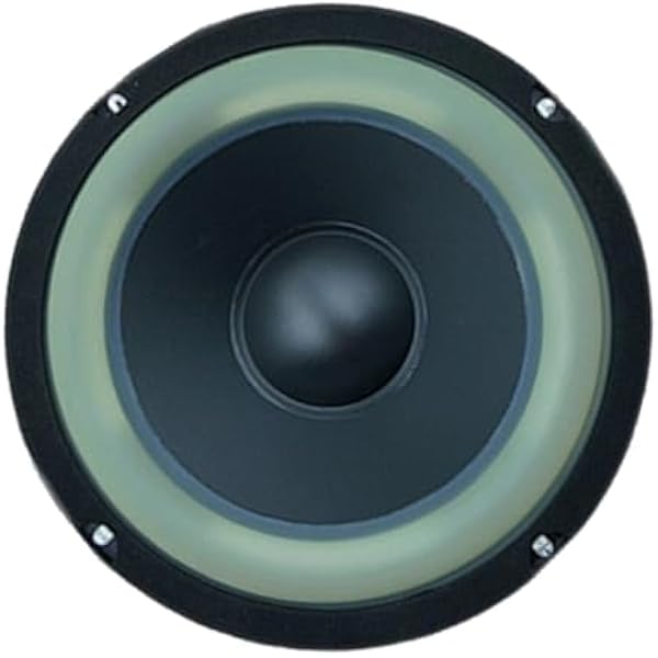 Subwoofer 30 W 6,5 cala z zewnętrzną konstrukcją i impedancją 4 omów dla słuchu