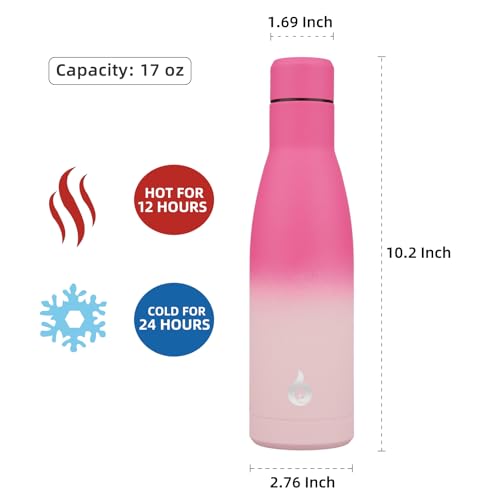 Image of BJPKPK Insulated Water Bottle 17oz Stainless Steel Water Bottles Disawasher Safe Reusable Metal Thermal Keep Cold and Hot,Cherry