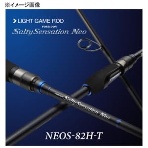 Amazon | エバーグリーン アジングロッド ソルティ