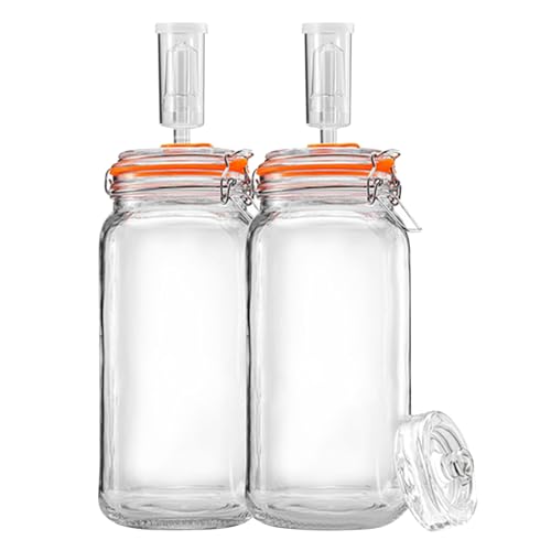 Lot de 2 bocaux de fermentation de 1,8 l en verre avec poids et sas - Bocal de démarrage pour choucroute, kombucha, cornichons et kimchi