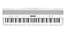 ROLAND Digital Pianos-Home (FP-90X-WH)