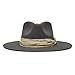 Charlie 1 Horse C1H x Lainey Wilson Smoke Ain't Clear Wool Fashion Hat (US, Alpha, Large, Granite Grey)