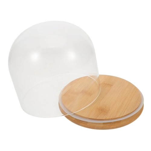 BESPORTBLE Clear Glass Cloche Display Dome with Bamboo Base Bell Jar for Cake Eternal Flowers Collectibles Easy Assembly Multi-scene Decorative Showcase for DIY Floral and Dessert