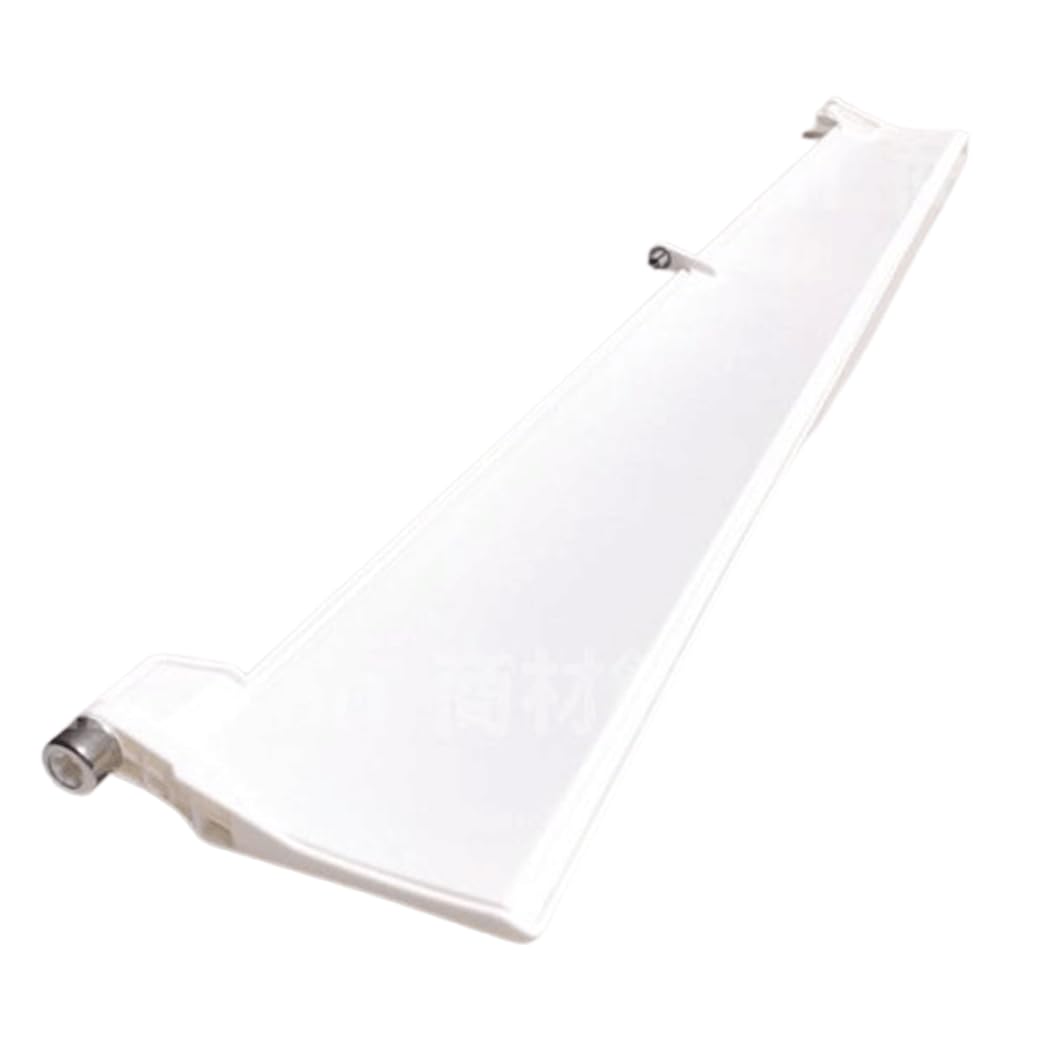 イリエワニ　根付　開口 イリエワニ 根付 開口 イリエワニ 根付 開口 イリエワニ 根付 開口