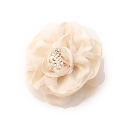 [~bVLbV]RT[W ݃J[ u[`  Ǝ w p[ t[  4531522(Itx[W)