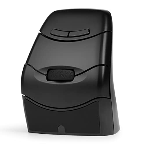 BakkerElkhuizen DXT 3 Souris Ambidextre RF sans Fil Optique 2400 DPI