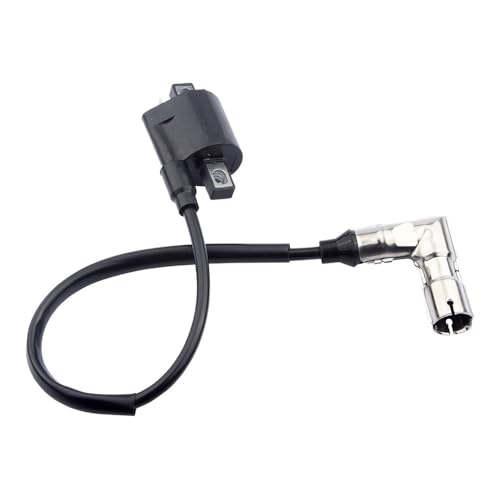 Bobina de encendido ATV compatible con repuestos de quad 200cc y 250cc 6