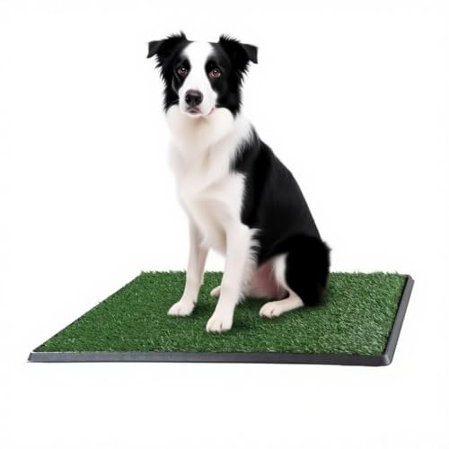 SearEase ybggĈ̎ŐAÔ߂Ȍ̑̃}bg vX`bNUŗppbh,lHŌ̌̑̎q̃gCP̌܂ꏊŔrAP (yLz51*76.5cm)