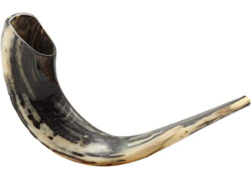 Ram Horn Shofar Polished with Natural Dark Colors - Professionally Tuned and Tested 18