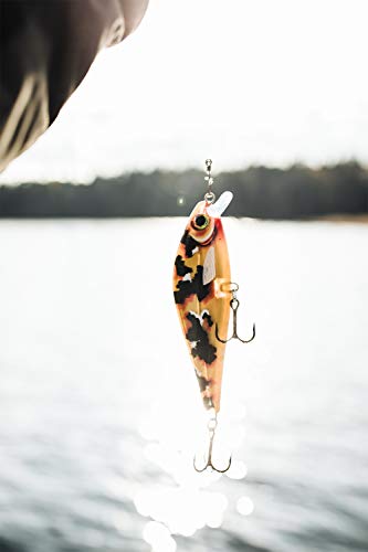 Rapala - Leurre de Pêche Super Shadow Rap - Matériel de Pêche avec Bavette Intégrée - Leurre Pêche d'Eau Douce… - Image 4