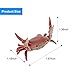 Zuyoruy 2Pcs Funny Crab Pen Holder Weightlifting Crab Desk Pen Stand for Pen Storage Office Desk Display Decorations