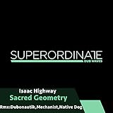 Superordinate Dub Waves