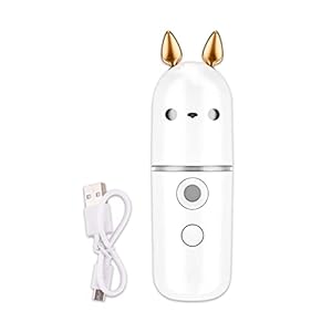 Gezichtsstoomboot Nano Mist Sproeier Nevelizer Gezicht Moisturizer Luchtbevochtiger Hydrating Skin Care Facial Sproeier Schoonheid SPA Vaporizer (Color : Sprayer)