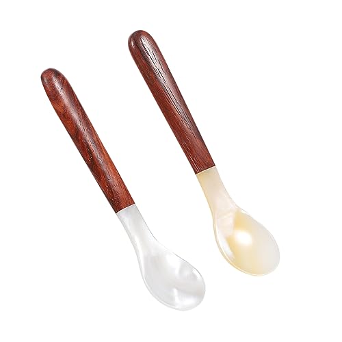 Mobestech 2 Cucharas De Concha Natural Para Tazas Tazas Café Medidoras Cucharas Para Aperitivos Infusores De Té Cucharas Para Ramen Cucharas De Nácar Para Sopa Café Con Leche Té