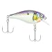 Berkley Pitbull 5.5 Fishing Bait