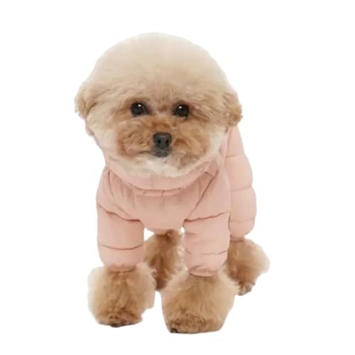 R[g  g  xXg hbOEFA H ~ m ybg  H~ _EWPbg  AE^[ іh~ t[ht AE^[ h h ۉ U ^^