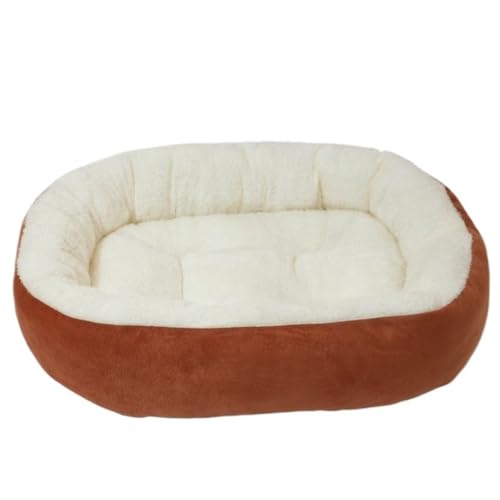 Fiozwea�~�̕ۉ��L�����l�G�ʗp������^�ȉ~�^�_��ŉ��K�Ō��݂̂���pp�ȏ��^���}�b�g�������ϖ��Ր��t�B�I�Y�E�B�A (�ȉ~�`���ڂ݁y�I�����W�F�z,S)