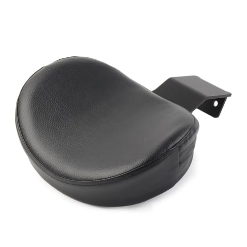 Coussin de dossier de moto pour voyager confortablement en Boulevard C50 et Volusia VL400