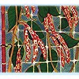 Filet porte-fruits en nylon maille 150 x 170 mm (H. 120 cm Bobines 1000)