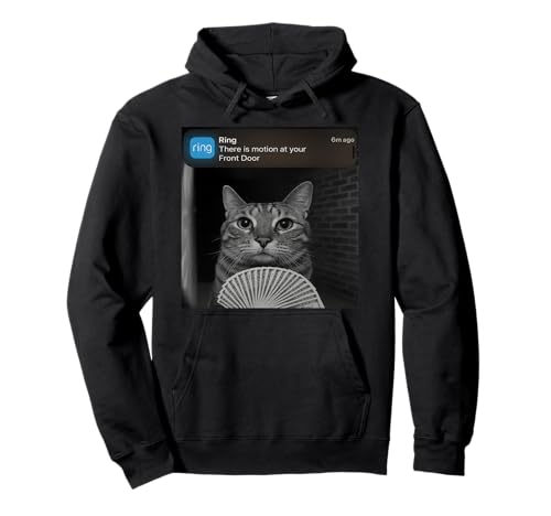 Ring There Is Motion at Your Front Door Pullover Hoodie
