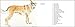 We Think the World of You: People and Dogs Drawn Together