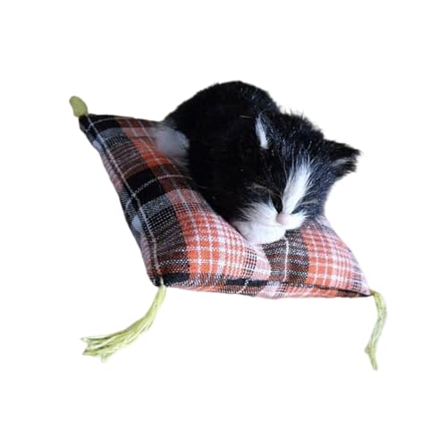 AȐLl`ʂݖєŕꂽ\tg}bgxbhʂ݃ybgl`ql̂߂̒aMtgLDƂ̃Mtg