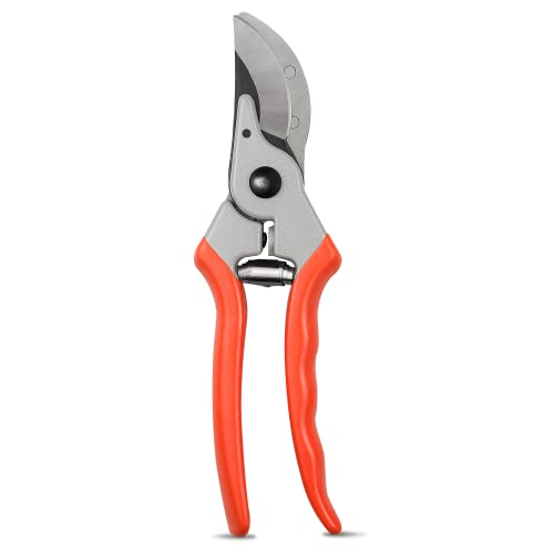 Image of YIYITOOLS Pruning Shears, One-Hand Garden Shears, Gardening Hand Tools Tree Trimmers with Rubber Handles, Pruning Scissors with Titanium Coated Stainless Steel Blades, Gift For Gardeners