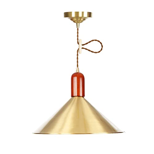 Chandelier en laiton à tête unique pour éclairer un petit espace sombre