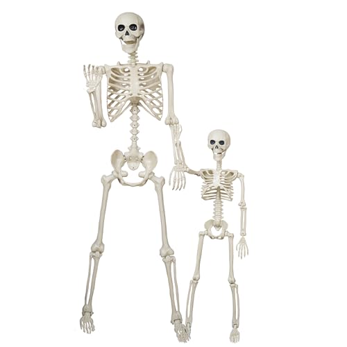Image of Breesky Skeleton Model for Decoration: 5.4Ft & 3Ft Skeleton with Movable Joints - Plastic Human Bones for Party, Study