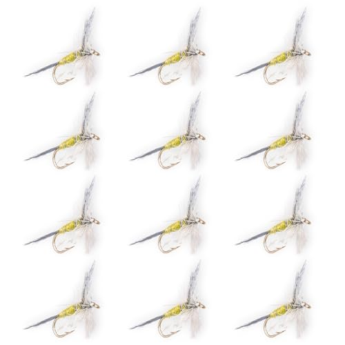 Blue Winged Olive (BWO) 12 Pack – Hand Tied Dry Flies for Trout Fly Fishing – Realistic Mayfly Pattern for Rivers, Creeks & Streams – Premium Floating Trout Fly Set (4X(14,16,18))