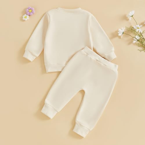 Toddler Baby Girl Clothes Cute 3D Floral Infant Long Sleeve Sweathsirt Fall Winter Outfits Kids Pullover Pants Set3