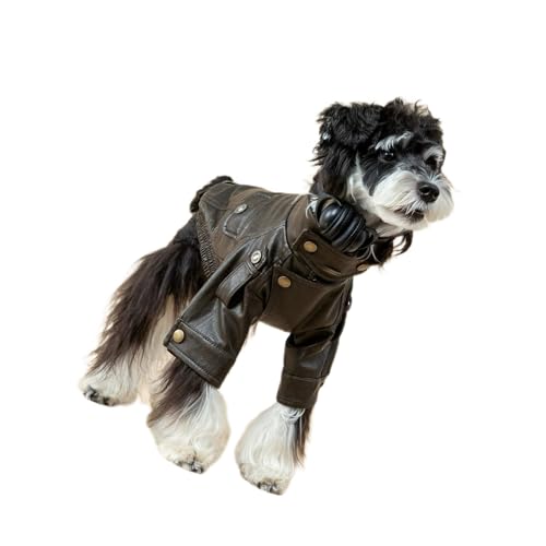 Estilos elegantes de chaquetas de para mascotas de poliéster 2