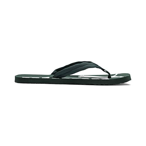 Image of PUMA Epic Flip V2 Synthetic Slipon Womens Athleisure Flip Flops